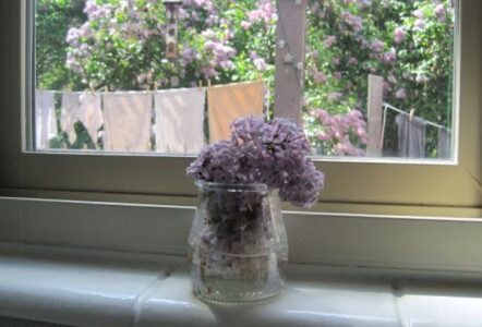 Mariam’s Kitchen Reflections on Culinary Tools and Food Preparation Image